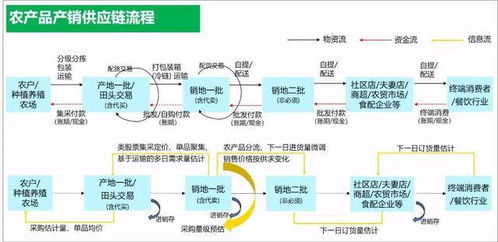 東方鑫達 全方位打造現(xiàn)代化農(nóng)產(chǎn)品供應(yīng)鏈體系