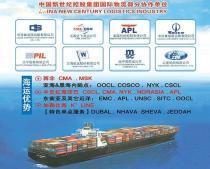 專業(yè)進(jìn)出口代理服務(wù)，助力企業(yè)高效拓展全球市場(chǎng)